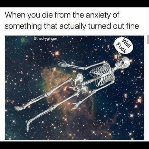 Meet your Posher, Estella - Picture 10 of 15